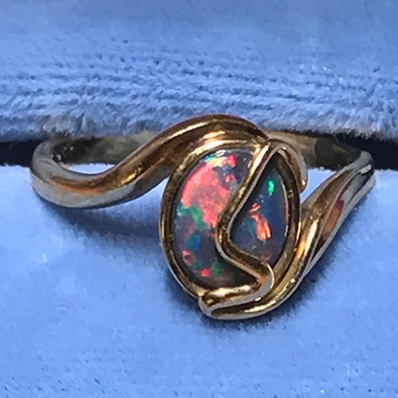 Meet your Poshers, Ladyb & Big Tex - Picture 4 of 5